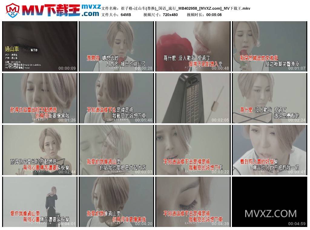 崔子格-过山车(替换)_国语_流行_MB402958